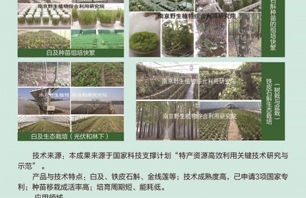 功能性植物種苗工廠化組培快繁、生態(tài)立體種植及高值產(chǎn)品開發(fā)