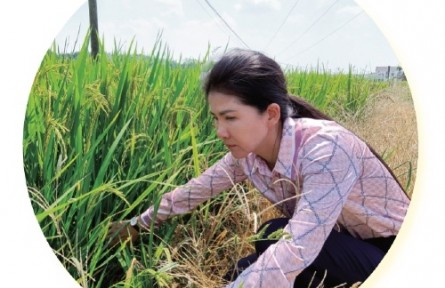 湖南岳陽(yáng)董敏芳：讓農(nóng)民種田更輕松