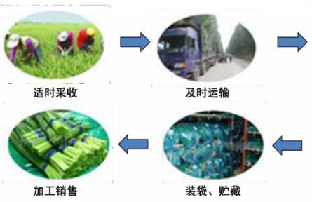 13、成果名稱：大宗蔬菜簡約物流保鮮技術