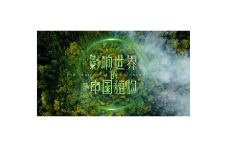 影響世界的中國植物 第1集 植物天堂