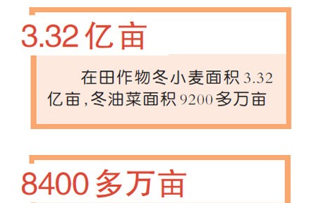 人勤春來早 春耕備耕忙——各地農(nóng)業(yè)生產(chǎn)掃描