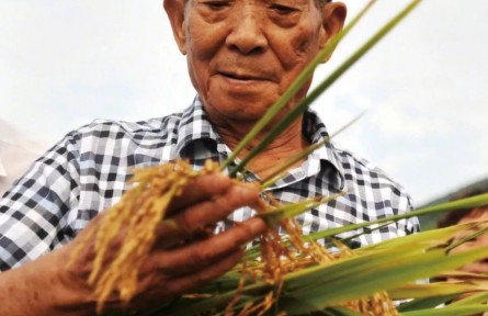 面向國(guó)民經(jīng)濟(jì)主戰(zhàn)場(chǎng)的新中國(guó)農(nóng)業(yè)科技