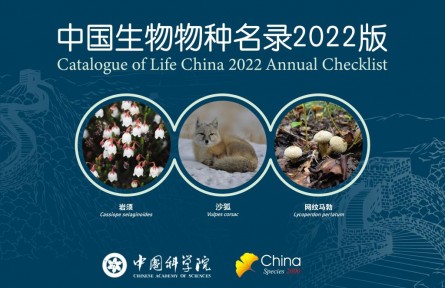 《中國生物物種名錄》2022版發(fā)布 較2021版新增10343個(gè)物種及種下單元