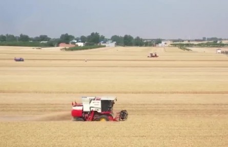 【在希望的田野上·三夏時節(jié)】夏收加快推進(jìn) 高效農(nóng)機(jī)力促提質(zhì)增效