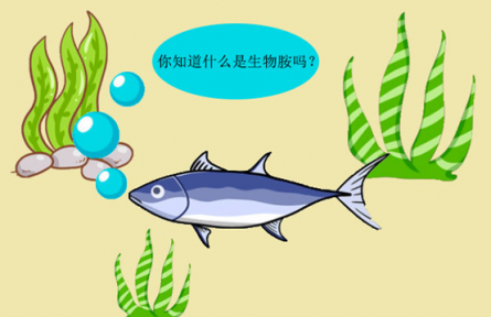 科普 | 生物胺是什么？