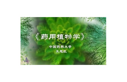 《藥用植物學》講座系列視頻