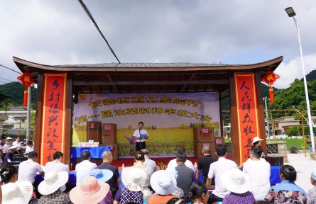 貴州黔南長(zhǎng)順：夏糧豐收“后勁”足 鄉(xiāng)村振興“錢景”好