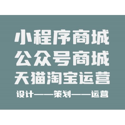 電商平臺、網(wǎng)站、公眾號商城搭建