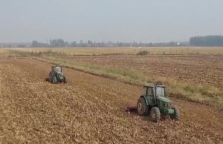 湖北：擴種冬油菜170萬畝 超國家下達任務10萬畝