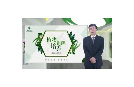 《植物組織培養(yǎng)》講座系列視頻