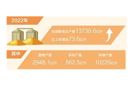 2022年全國(guó)糧食產(chǎn)量穩(wěn)中有增 連續(xù)8年穩(wěn)定在1.3萬(wàn)億斤以上