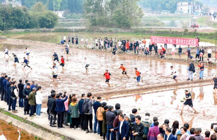 四川合江：“開秧門”拉開水稻移栽序幕