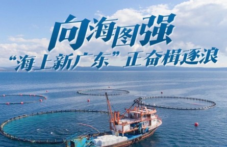 向海圖強(qiáng)！“海上新廣東”正奮楫逐浪