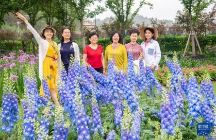 重慶大足：花卉產業(yè)為鄉(xiāng)村振興添香增色