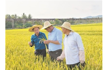 40年南北遷徙，育種人無問西東——記江蘇里下河地區(qū)農(nóng)業(yè)科學(xué)研究所水稻育種團隊