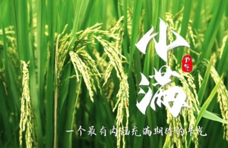 《節(jié)氣里的大美中國》小滿：一個(gè)最有內(nèi)涵充滿期待的節(jié)氣