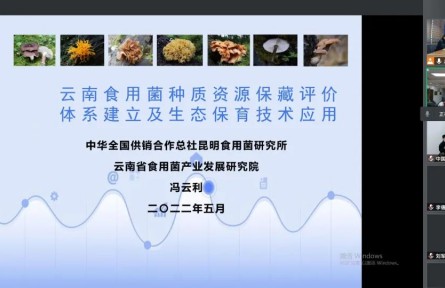 中華全國供銷合作總社昆明食用菌研究所“云南食用菌種質(zhì)資源收集保存、鑒定評價(jià)和生態(tài)促繁技術(shù)應(yīng)用”成果評價(jià)公告【2022（47號）】