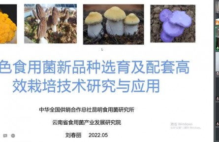 中華全國供銷合作總社昆明食用菌研究所“特色食用菌新品種選育及配套高效栽培技術(shù)創(chuàng)新與產(chǎn)業(yè)化應(yīng)用”成果評價(jià)公告【2022（48號）】