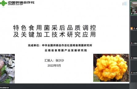 中華全國供銷合作總社昆明食用菌研究所“特色食用菌采后品質(zhì)調(diào)控及關(guān)鍵加工技術(shù)推廣應(yīng)用”成果評價(jià)公告【2022（50號）】