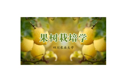 《果樹(shù)栽培學(xué)》課程系列視頻