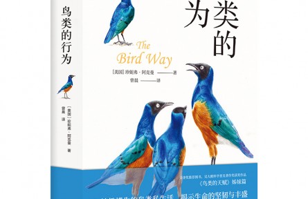 妙趣橫生的鳥類私生活，顛覆你的傳統(tǒng)認(rèn)知