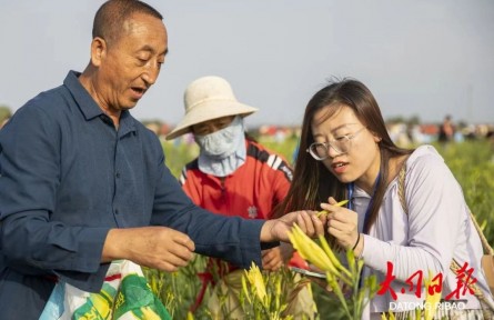 山西大同黃花產(chǎn)業(yè)入選知識產(chǎn)權(quán)強國建設(shè)典型案例