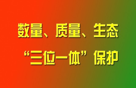 習(xí)近平論強(qiáng)化耕地?cái)?shù)量、質(zhì)量、生態(tài)“三位一體”保護(hù)