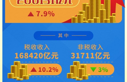 前11個(gè)月全國(guó)一般公共預(yù)算收入同比增長(zhǎng)7.9%