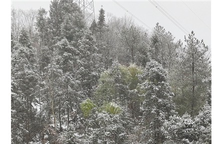 未來兩天將進(jìn)入本輪雨雪過程最強(qiáng)時段 多地多部門合力應(yīng)對低溫雨雪冰凍天氣