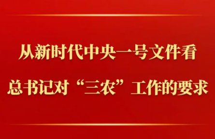 第一觀(guān)察 | 從新時(shí)代中央一號(hào)文件看總書(shū)記對(duì)“三農(nóng)”工作的要求