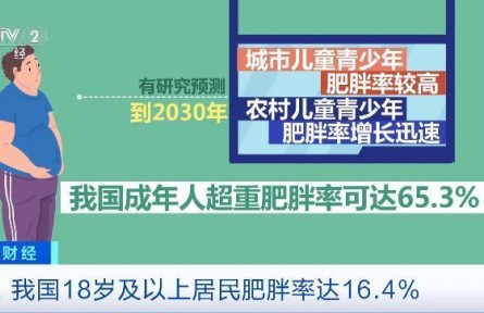 “不吃主食”“光靠運(yùn)動(dòng)”是減肥誤區(qū)！