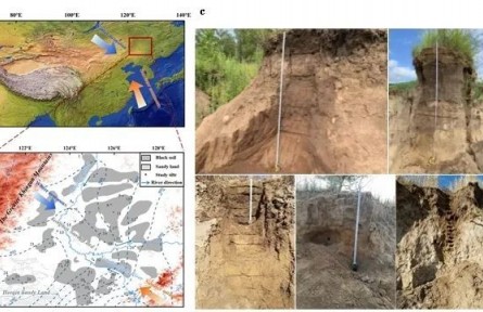 科普|東北黑土是“大風(fēng)刮來”的？
