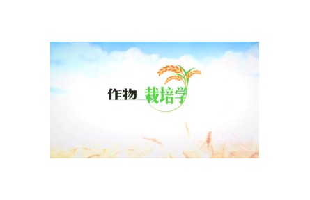 《作物栽培學(xué)》課程系列視頻