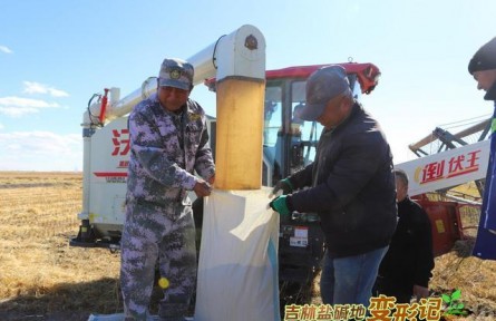 破“堿”重生！吉林鹽堿地變形記