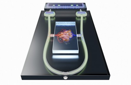 科技名詞|介電電泳 dielectrophoresis；DEP