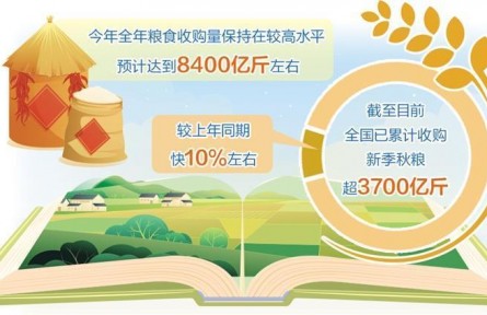 全年糧食收購(gòu)預(yù)計(jì)達(dá)8400億斤左右——做好糧食流通大文章