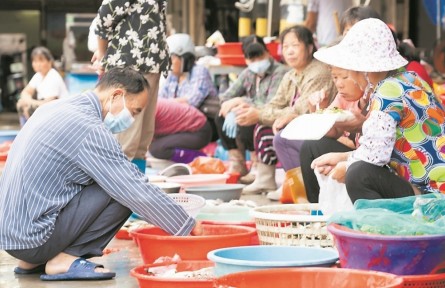 福建詔安：管好用活農村集體“三資”