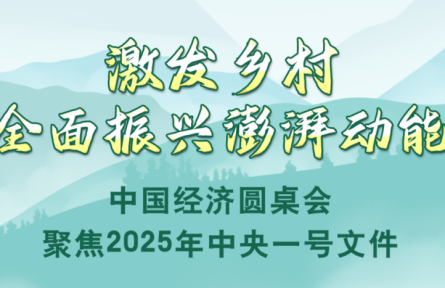 激發(fā)鄉(xiāng)村全面振興澎湃動(dòng)能——中國經(jīng)濟(jì)圓桌會(huì)聚焦2025年中央一號文件