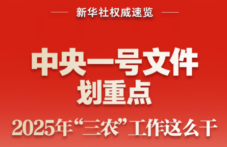 中央一號(hào)文件劃重點(diǎn)，2025年“三農(nóng)”工作這么干