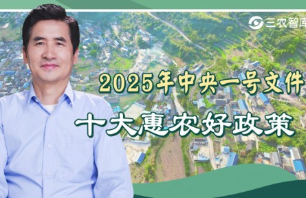 2025年中央一號文件解讀：十大惠農好政策